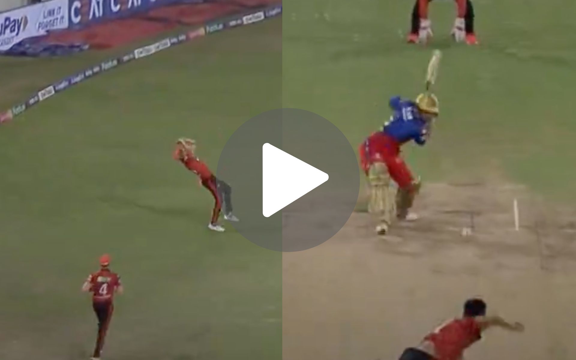 [Watch] Pat Cummins' Awkward Backward Falling Catch Puts RCB On Backfoot